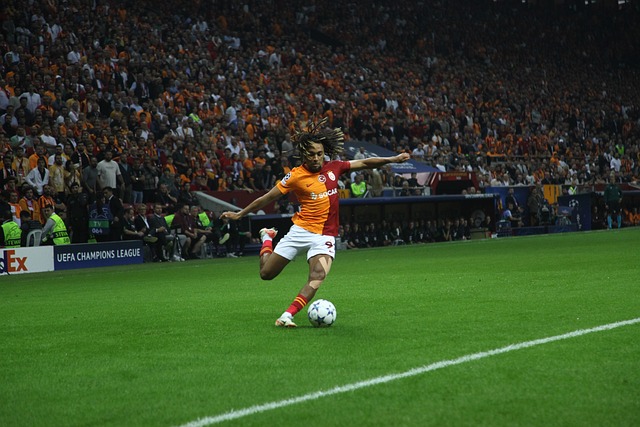 辽宁队以冷 辽宁队以冷