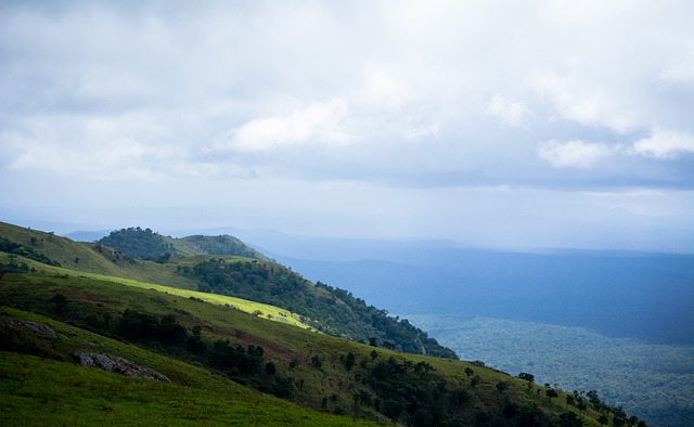 直接将对手 直接将对手