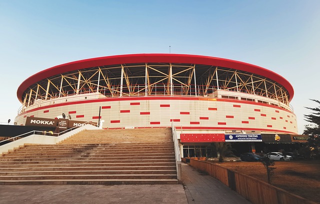 的有力支持 的有力支持