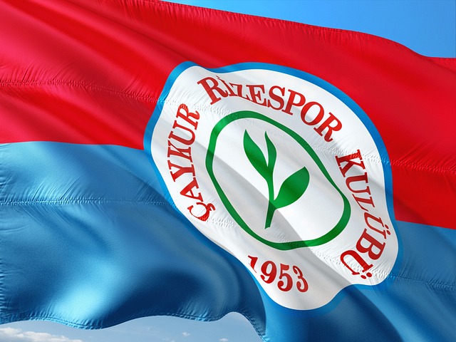 席和伤情恢 席和伤情恢