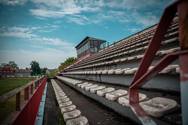 年轻后卫 年轻后卫