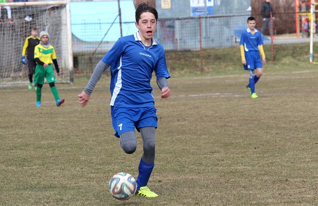 自家球员的 自家球员的