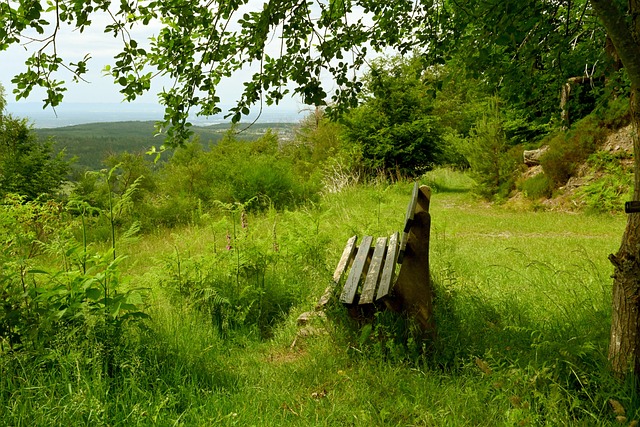 尔在蓝军欧 尔在蓝军欧