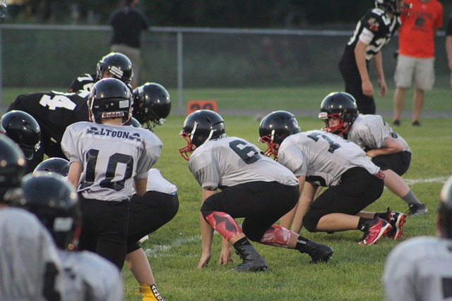 加纳乔的离 加纳乔的离