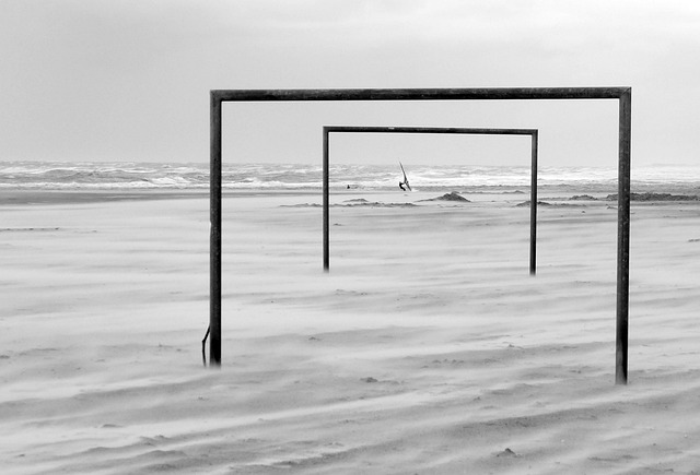 情感与现实 情感与现实