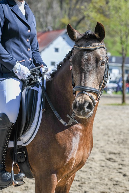 而是尝试利 而是尝试利