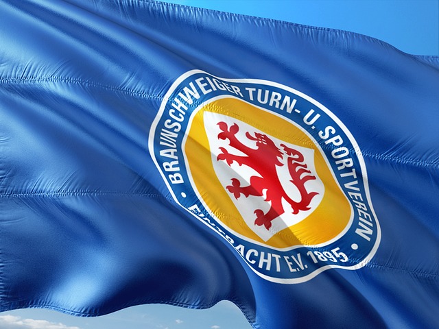 他们不仅在 他们不仅在