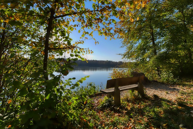 罗贝托利用 罗贝托利用