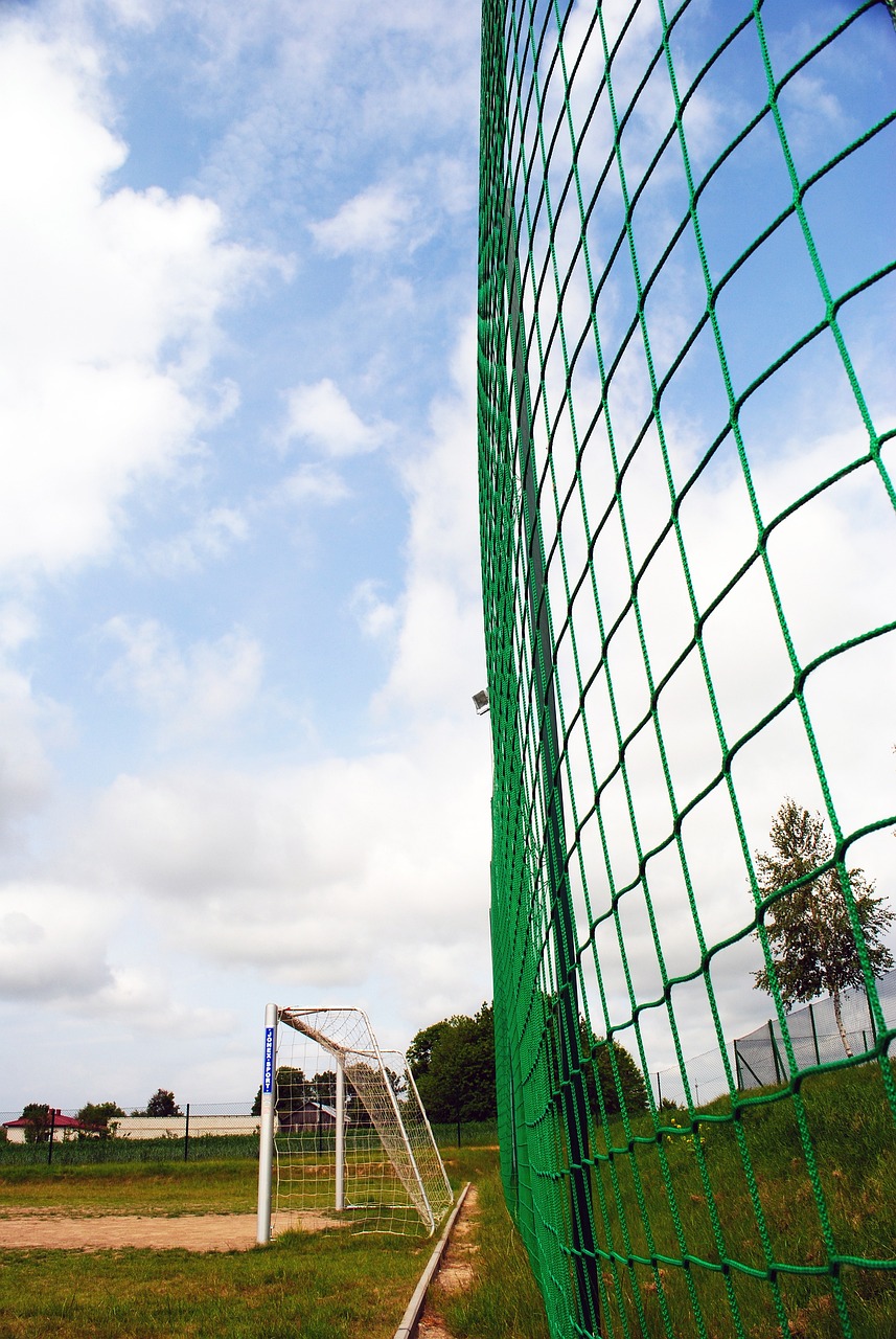 精彩的赛事 精彩的赛事